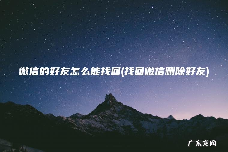 微信的好友怎么能找回(找回微信删除好友)
