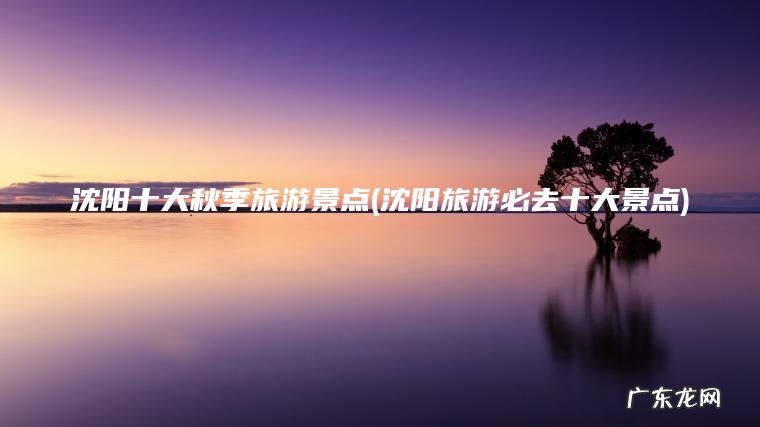 沈阳十大秋季旅游景点(沈阳旅游必去十大景点)