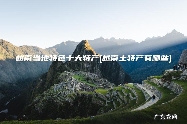 越南当地特色十大特产(越南土特产有哪些)