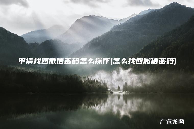 申请找回微信密码怎么操作(怎么找回微信密码)