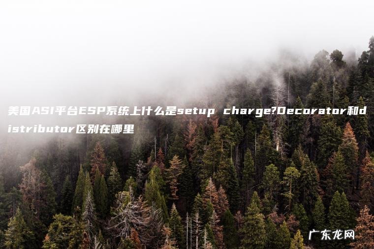 美国ASI平台ESP系统上什么是setup charge?Decorator和distributor区别在哪里