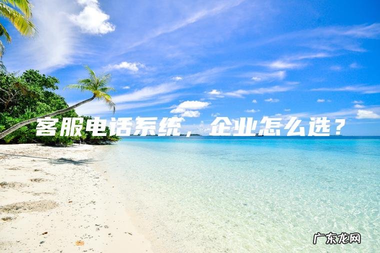 客服电话系统 ， 企业怎么选？