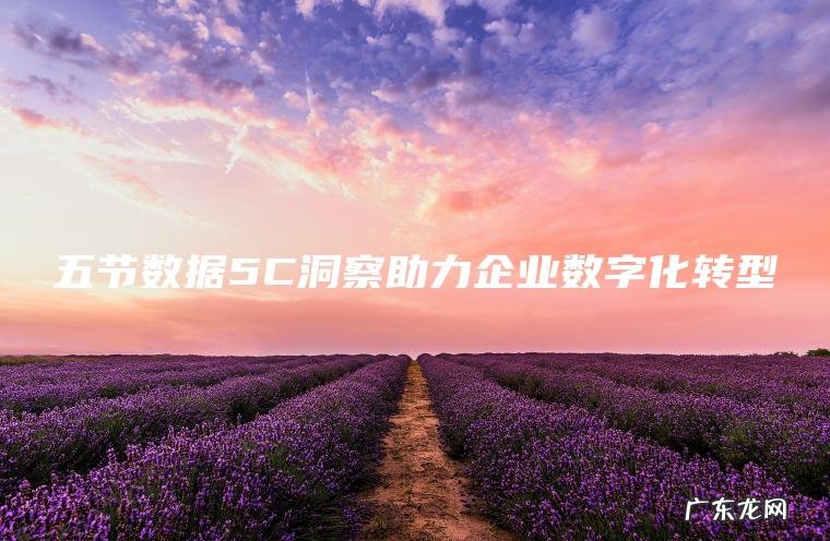 五节数据5C洞察助力企业数字化转型