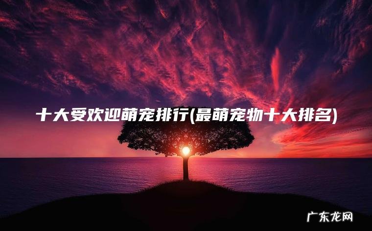 十大受欢迎萌宠排行(最萌宠物十大排名)