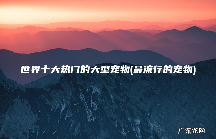 世界十大热门的大型宠物(最流行的宠物)