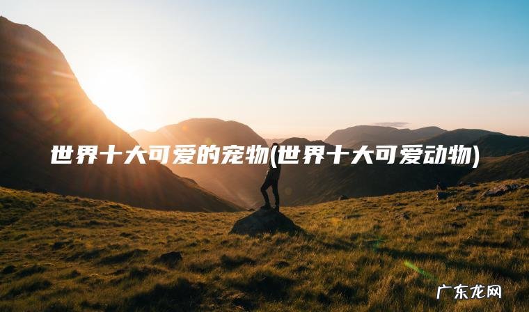 世界十大可爱的宠物(世界十大可爱动物)
