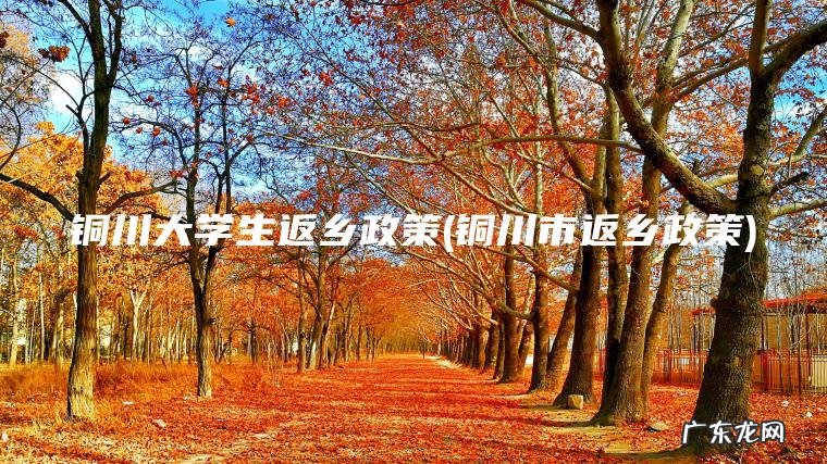 铜川大学生返乡政策(铜川市返乡政策)