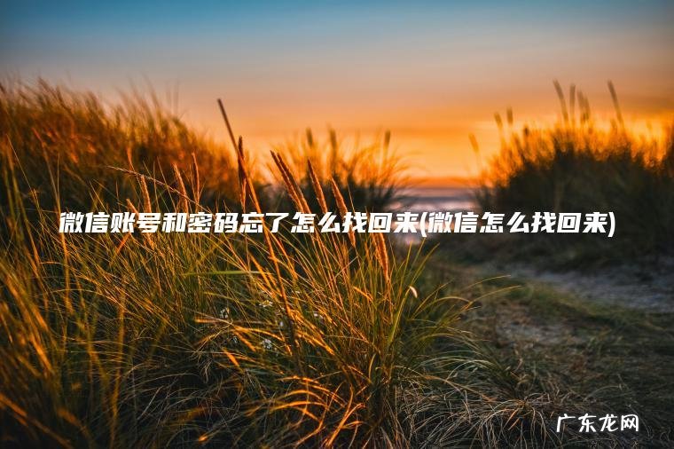 微信账号和密码忘了怎么找回来(微信怎么找回来)