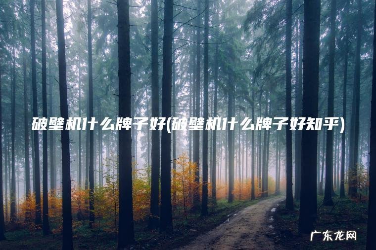 破壁机什么牌子好(破壁机什么牌子好知乎)