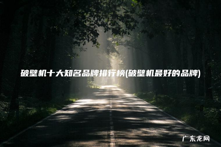 破壁机十大知名品牌排行榜(破壁机最好的品牌)