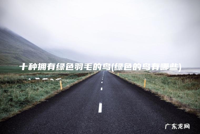 十种拥有绿色羽毛的鸟(绿色的鸟有哪些)