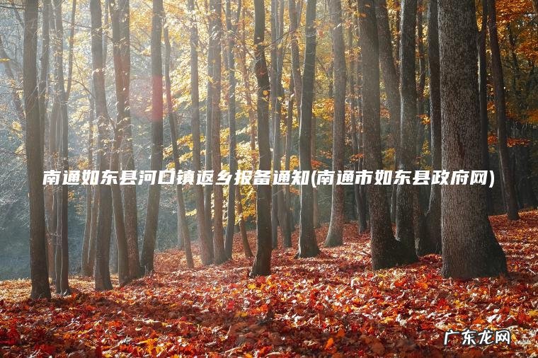 南通如东县河口镇返乡报备通知(南通市如东县政府网)