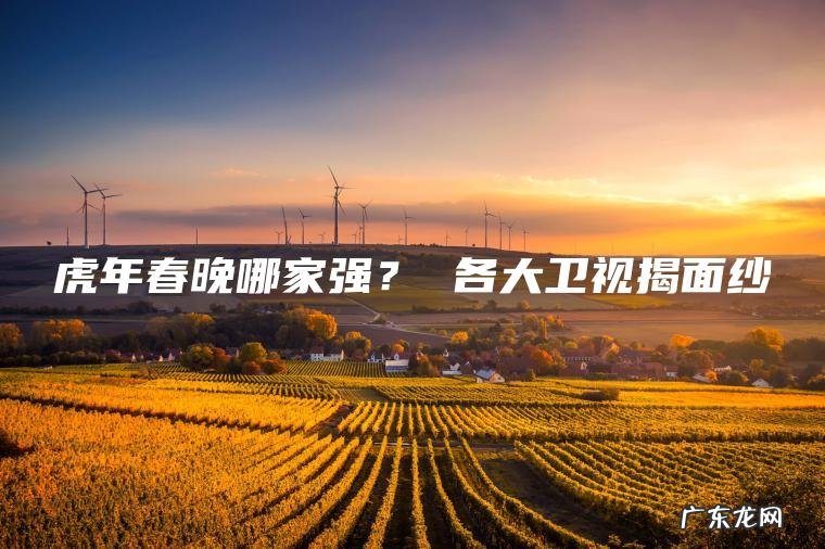 虎年春晚哪家强？ 各大卫视揭面纱