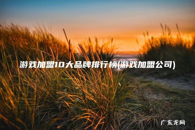 游戏加盟10大品牌排行榜(游戏加盟公司)