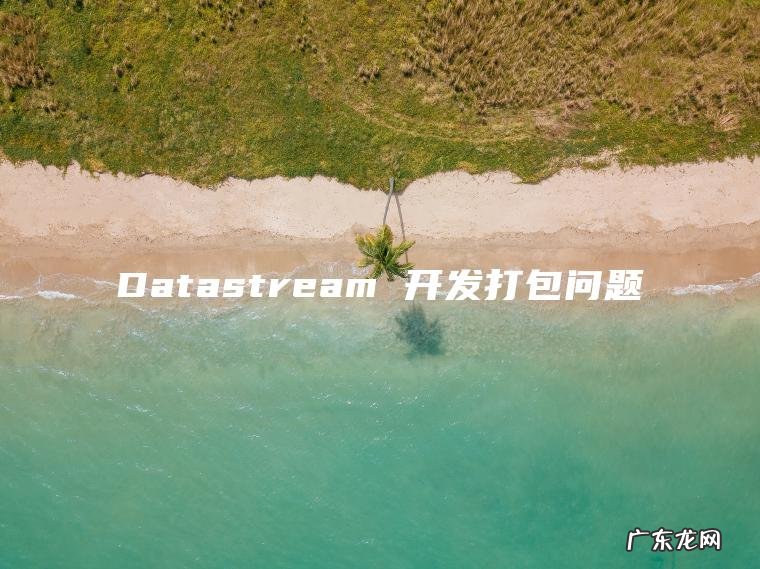 Datastream 开发打包问题