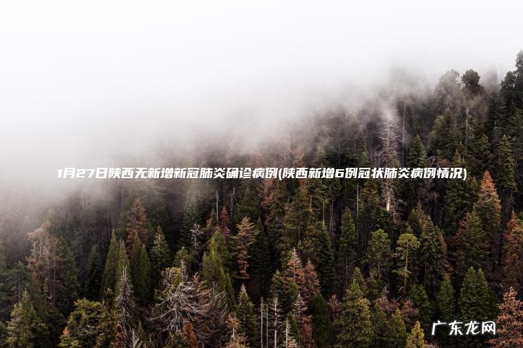 1月27日陕西无新增新冠肺炎确诊病例(陕西新增6例冠状肺炎病例情况)