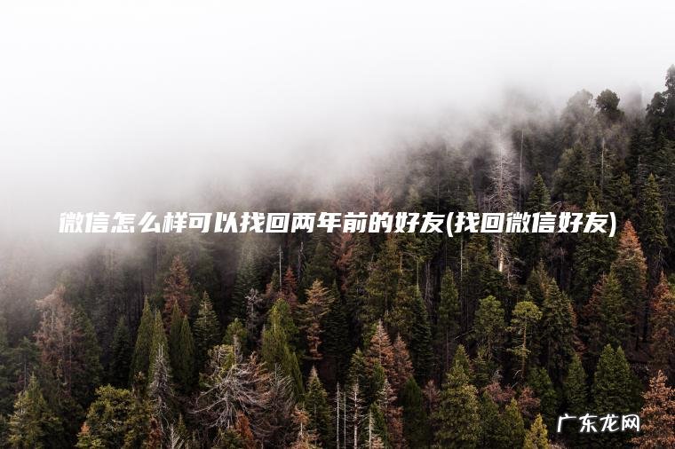 微信怎么样可以找回两年前的好友(找回微信好友)
