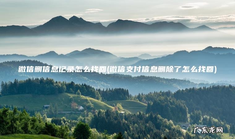微信删信息记录怎么找回(微信支付信息删除了怎么找回)