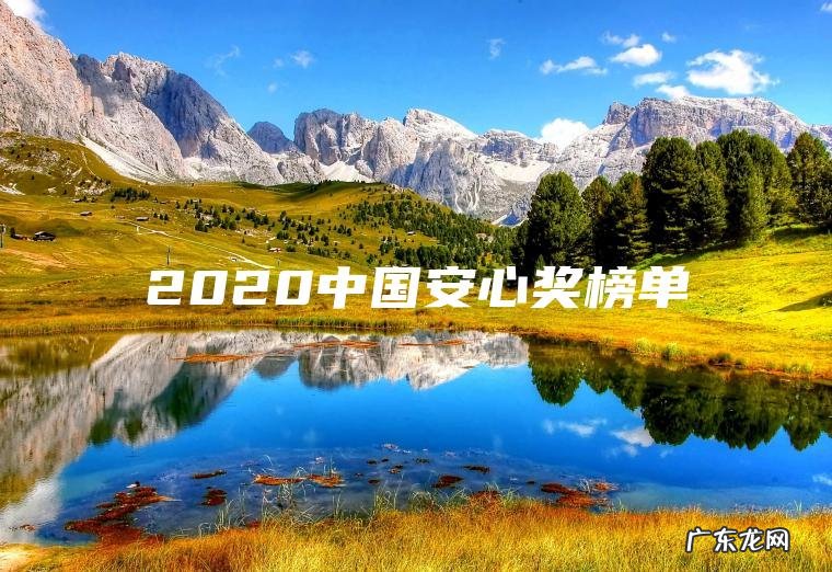 2020中国安心奖榜单