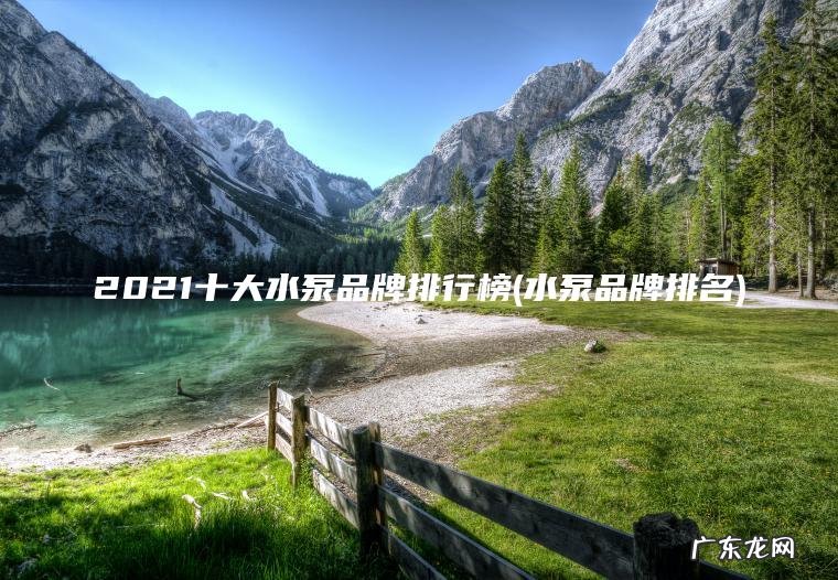 2021十大水泵品牌排行榜(水泵品牌排名)