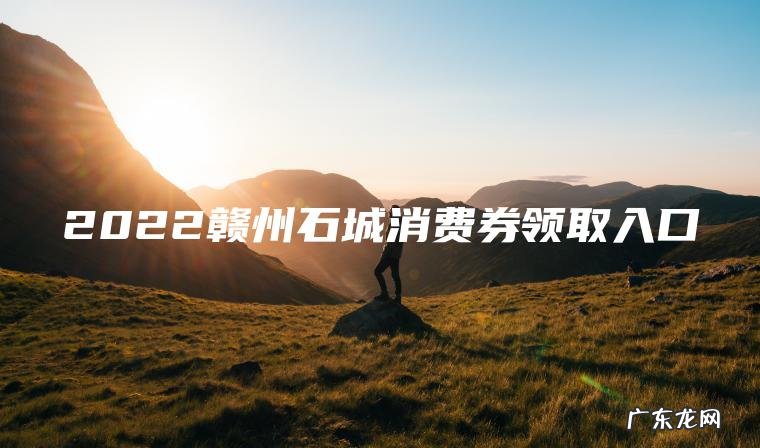 2022赣州石城消费券领取入口