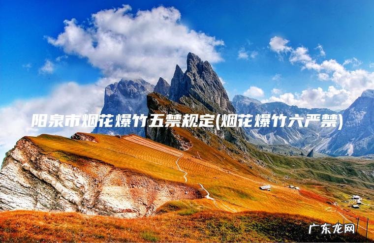 阳泉市烟花爆竹五禁规定(烟花爆竹六严禁)