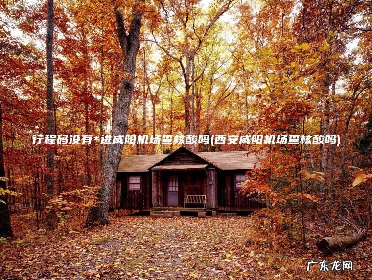 行程码没有*进咸阳机场查核酸吗(西安咸阳机场查核酸吗)