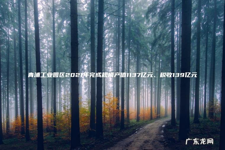 青浦工业园区2021年完成规模产值1137亿元、税收139亿元