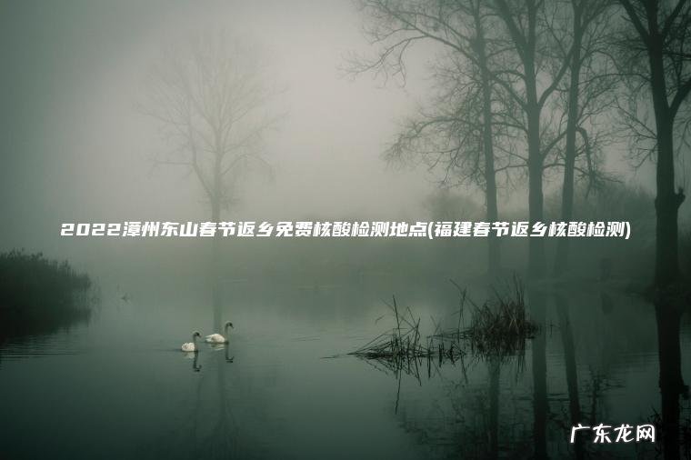 2022漳州东山春节返乡免费核酸检测地点(福建春节返乡核酸检测)
