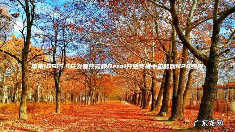 苹果iOS15.4开发者预览版Beta1开始支持中国移动N28频段