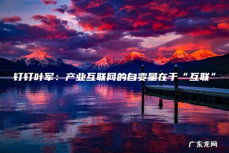 钉钉叶军：产业互联网的自变量在于“互联”