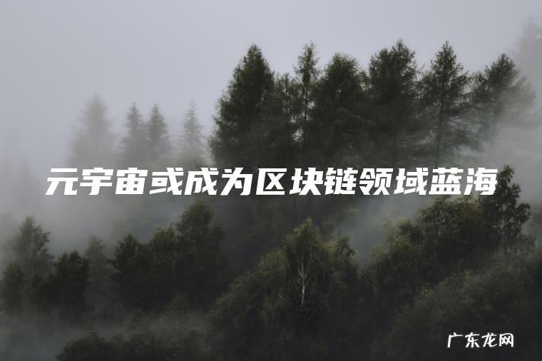 元宇宙或成为区块链领域蓝海