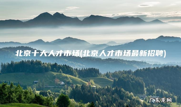 北京十大人才市场(北京人才市场最新招聘)