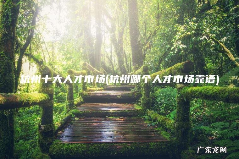 杭州十大人才市场(杭州哪个人才市场靠谱)