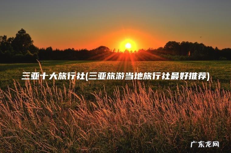 三亚十大旅行社(三亚旅游当地旅行社最好推荐)