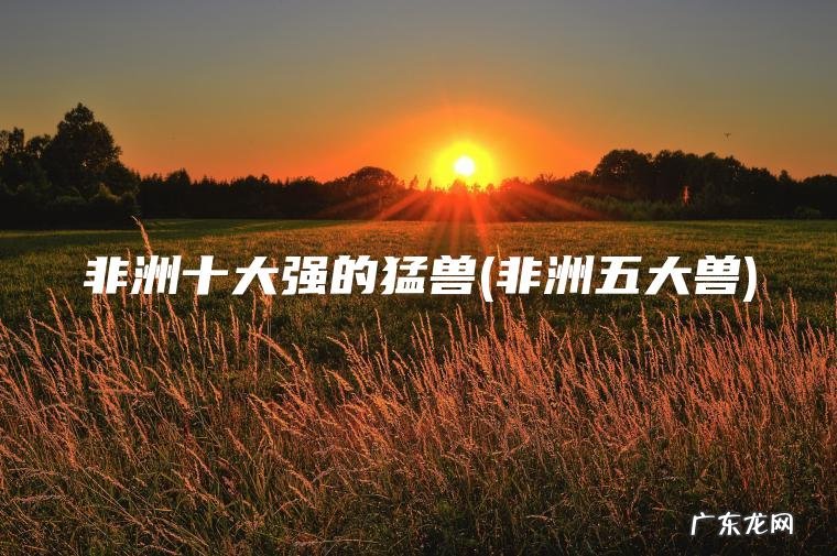 非洲十大强的猛兽(非洲五大兽)