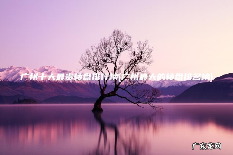 广州十大最贵楼盘排行榜(广州最大的楼盘排名榜)