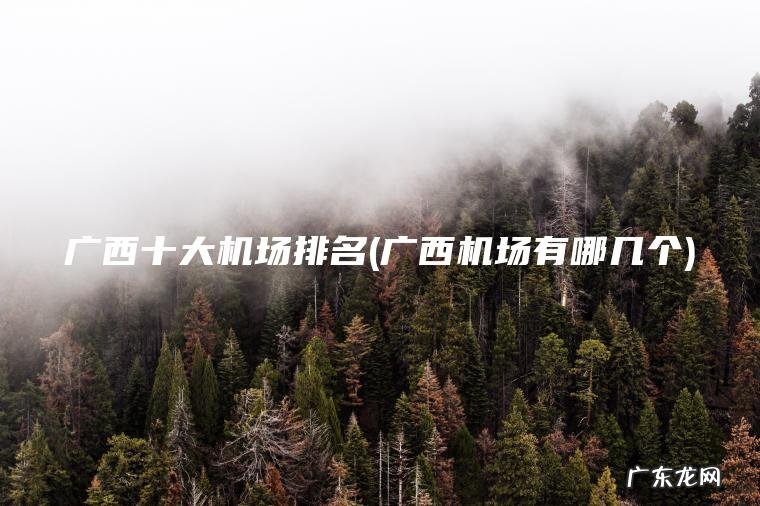 广西十大机场排名(广西机场有哪几个)
