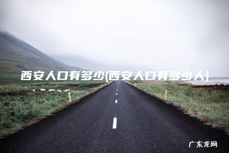 西安人口有多少(西安人口有多少人)