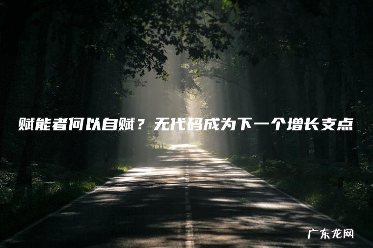 赋能者何以自赋？无代码成为下一个增长支点