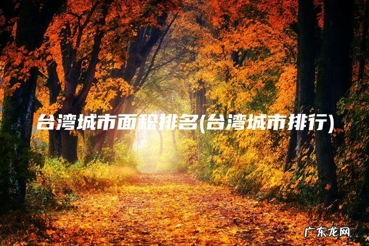 台湾城市面积排名(台湾城市排行)