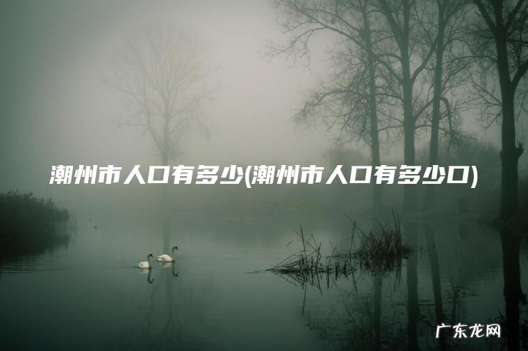 潮州市人口有多少(潮州市人口有多少口)