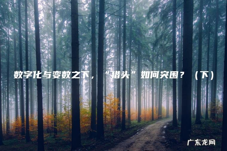 数字化与变数之下，“猎头”如何突围？（下）