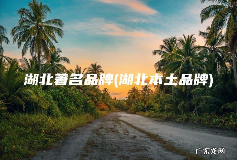 湖北著名品牌(湖北本土品牌)