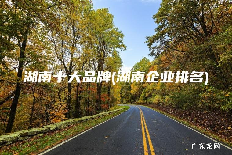 湖南十大品牌(湖南企业排名)