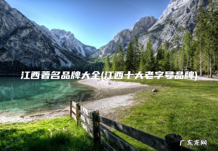江西著名品牌大全(江西十大老字号品牌)