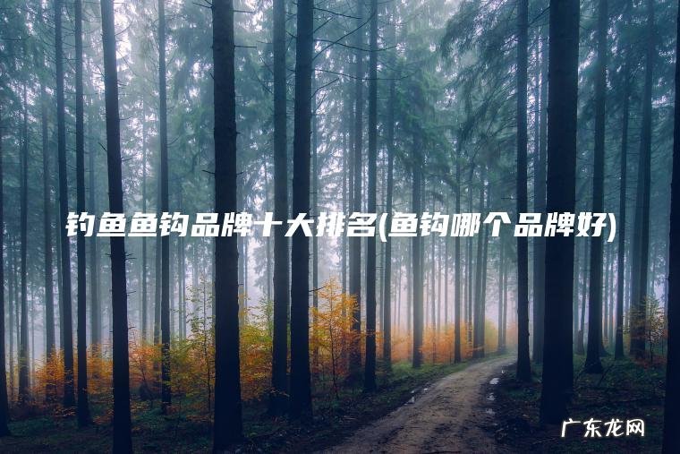 钓鱼鱼钩品牌十大排名(鱼钩哪个品牌好)