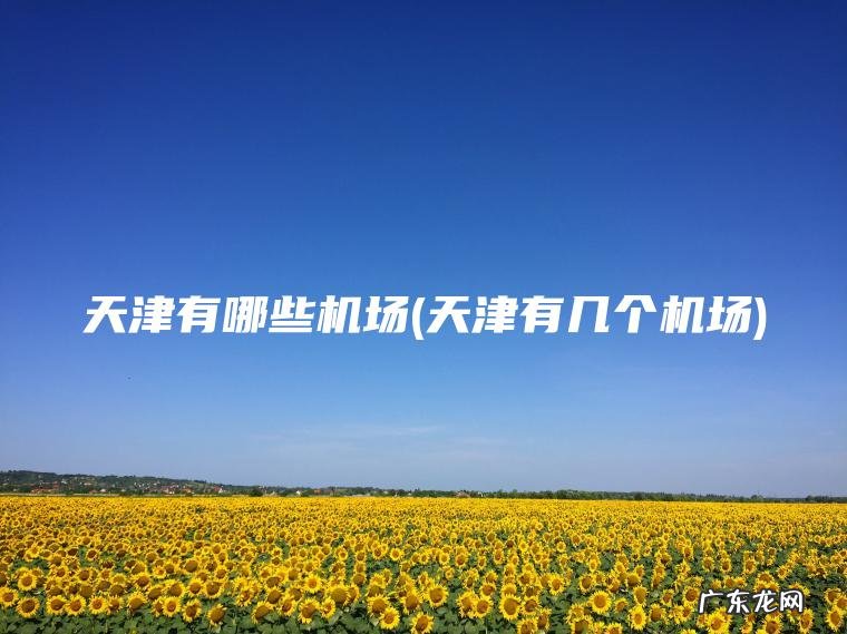 天津有哪些机场(天津有几个机场)