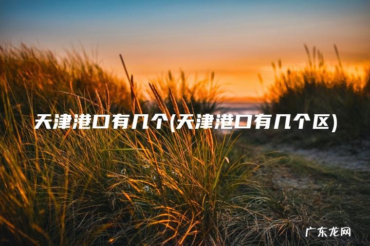 天津港口有几个(天津港口有几个区)
