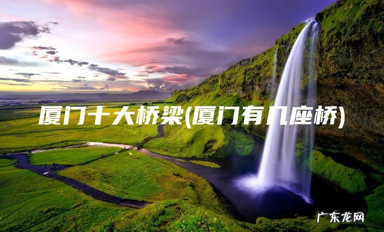 厦门十大桥梁(厦门有几座桥)